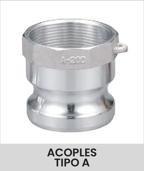 Descripción de la imagen